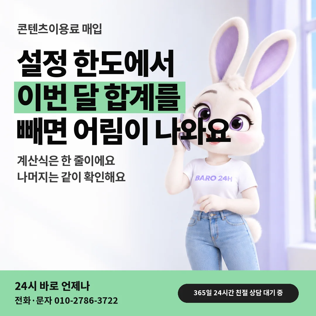 휴대폰을 보며 웃는 BARO 24H 티셔츠를 입은 3D 토끼 캐릭터 옆에 「남은 한도 가늠하기」 제목을 얹은 안내 카드