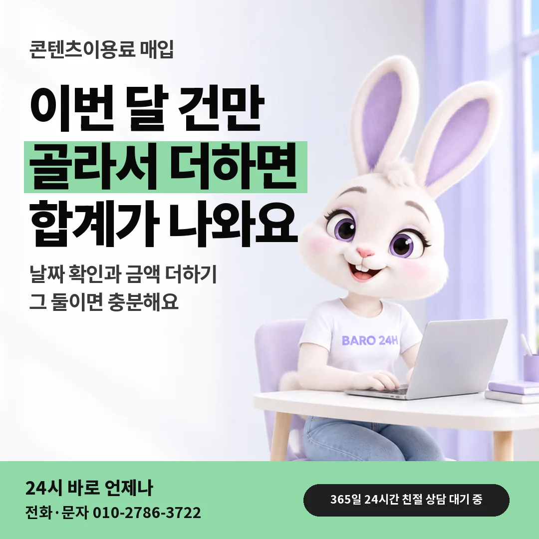 휴대폰을 보며 웃는 BARO 24H 티셔츠를 입은 3D 토끼 캐릭터 옆에 「이번 달 결제 내역 읽기」 제목을 얹은 안내 카드