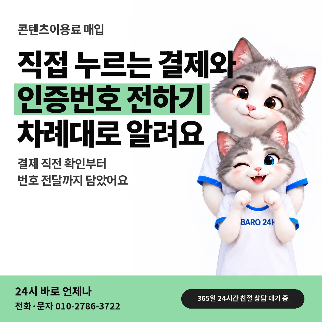 BARO 24H 티셔츠를 입은 3D 동물 캐릭터 옆에 「직접 결제와 인증번호」 제목을 얹은 안내 카드