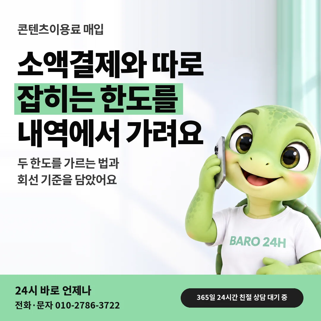 BARO 24H 티셔츠를 입은 3D 거북이 캐릭터 옆에 「소액결제와 따로 잡히는 한도」 제목을 얹은 안내 카드
